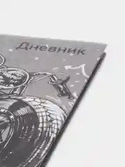 Тёмно-серый школьный дневник для 5-11 класса, А5, 48 листов