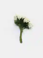 Лимонный тычинки для рукоделия ,ягоды в пучке