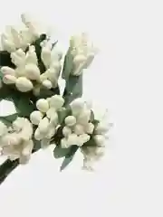 Лимонный тычинки для рукоделия ,ягоды в пучке