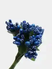 Синий тычинки для рукоделия ,ягоды в пучке