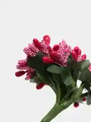 Фуксия тычинки для рукоделия ,ягоды в пучке