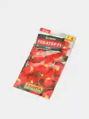 Бегония Сенатор алая (семена,цветы)