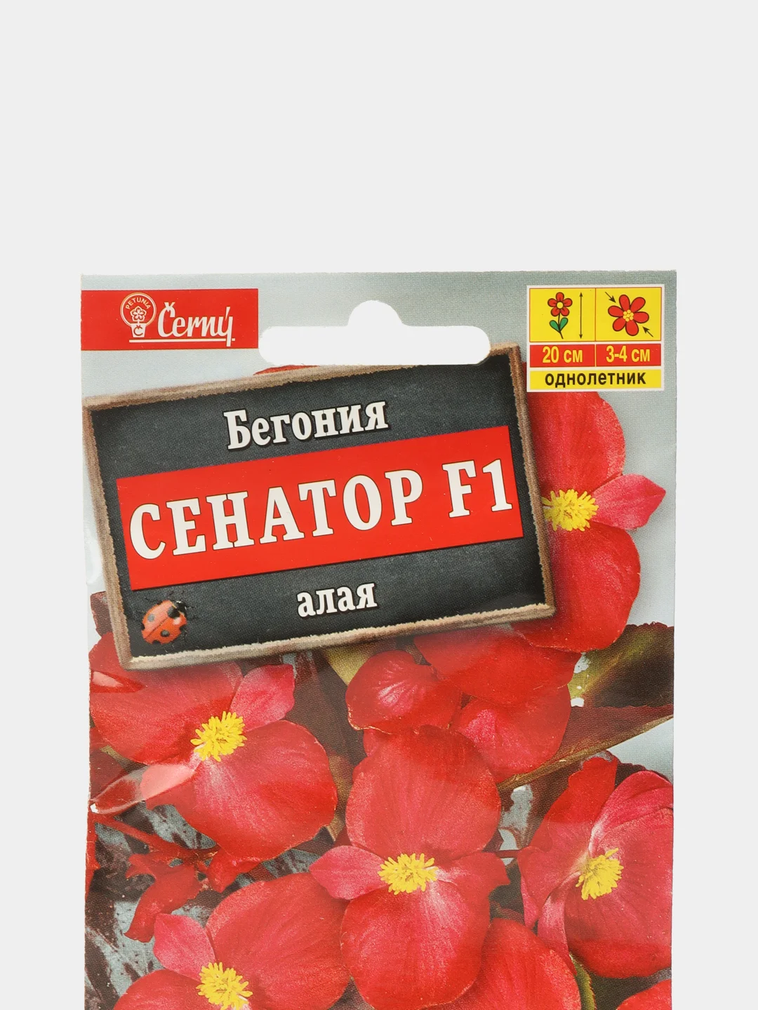 Бегония Сенатор алая (семена,цветы)