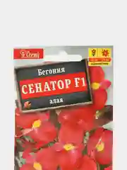 Бегония Сенатор алая (семена,цветы)