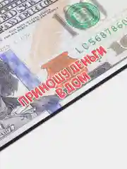 Магнит купюра на холодильник / магнит прикол / магнит приколы / магнит на холодильник