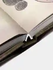 Магическая книга заклинаний, Под редакцией Софьи Мазиной