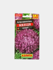 Астра Миледи Лиловая, семена