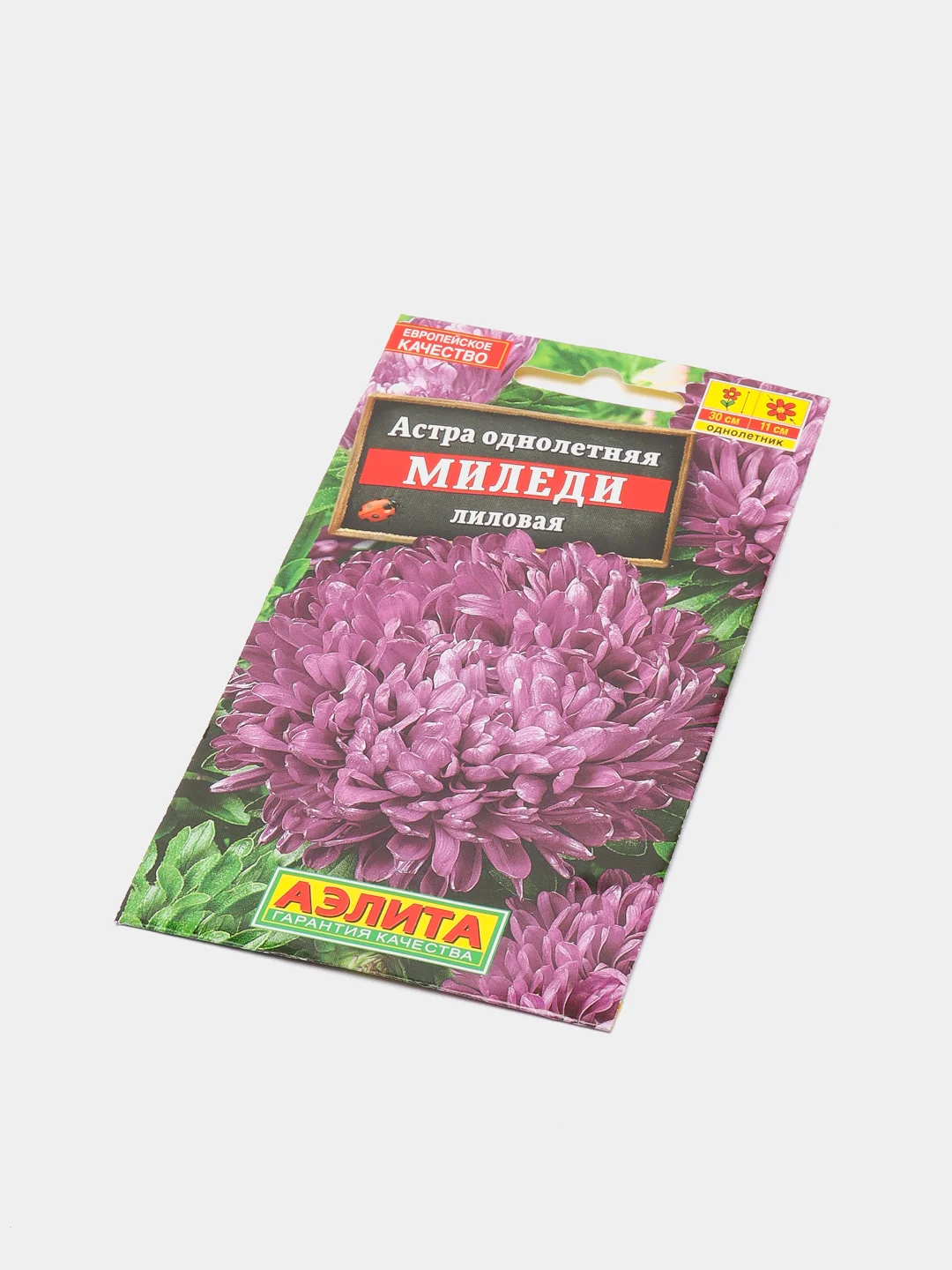 Астра Миледи Лиловая, семена