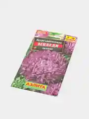 Астра Миледи Лиловая, семена