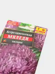 Астра Миледи Лиловая, семена