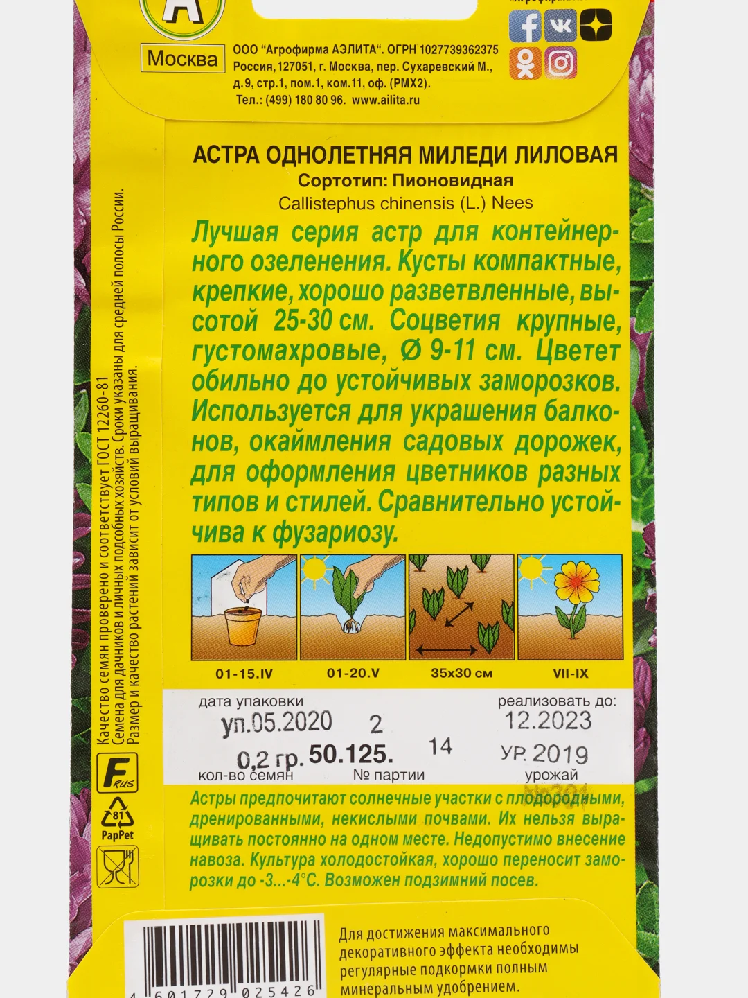 Астра Миледи Лиловая, семена