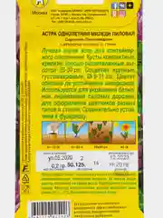 Астра Миледи Лиловая, семена
