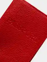 Багровый обложка для паспорта из натуральной кожи, 19 цветов