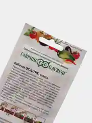 Семена "Кабачок Экзотик"