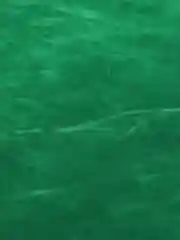 Зеленый замша искусственная двусторонняя