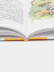 Книга для детей "Волшебные очки. Рассказы для детей", внеклассное чтение