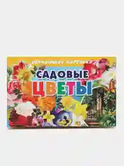 "Садовые цветы". Обучающие карточки на картоне с познавательным текстом