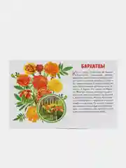 "Садовые цветы". Обучающие карточки на картоне с познавательным текстом