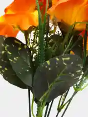 Рыжий искуственные цветы Фрезии