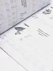 Салатовый прописи "Изучаем алфавит"