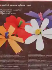 Набор для детского творчества. Творим из фоамирана. Цветок своими руками. Мак. Hobby Time