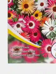 Семена цветов однолетние Мезембриантемум, смесь, 0,1 г