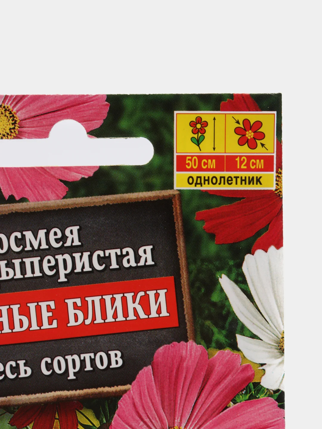 Семена Костмея дваждыперистая "Звездные блики"