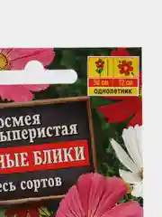 Семена Костмея дваждыперистая "Звездные блики"