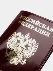 Тёмно-бордовый обложка для документов из натуральной кожи, 8 цветов