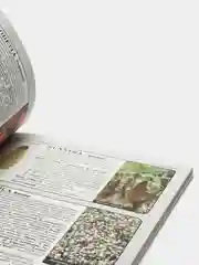Все о цветах в вашем саду. Дэвид Хессайон