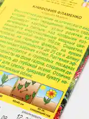 Книфофия Фламенко (семена аэлита)