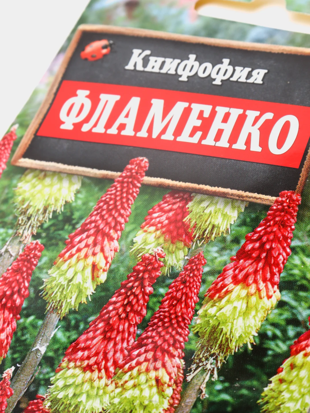 Книфофия Фламенко (семена аэлита)