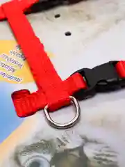 Красный шлейка прогулочная для кошек с поводком, поводок для собак мелких пород  , регулируемая