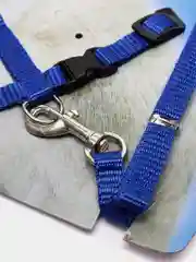 Синий шлейка прогулочная для кошек с поводком, поводок для собак мелких пород  , регулируемая