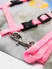 Розовый шлейка прогулочная для кошек с поводком, поводок для собак мелких пород  , регулируемая