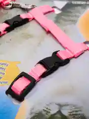 Розовый шлейка прогулочная для кошек с поводком, поводок для собак мелких пород  , регулируемая