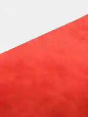Коралловый замша искусственная двусторонняя А4