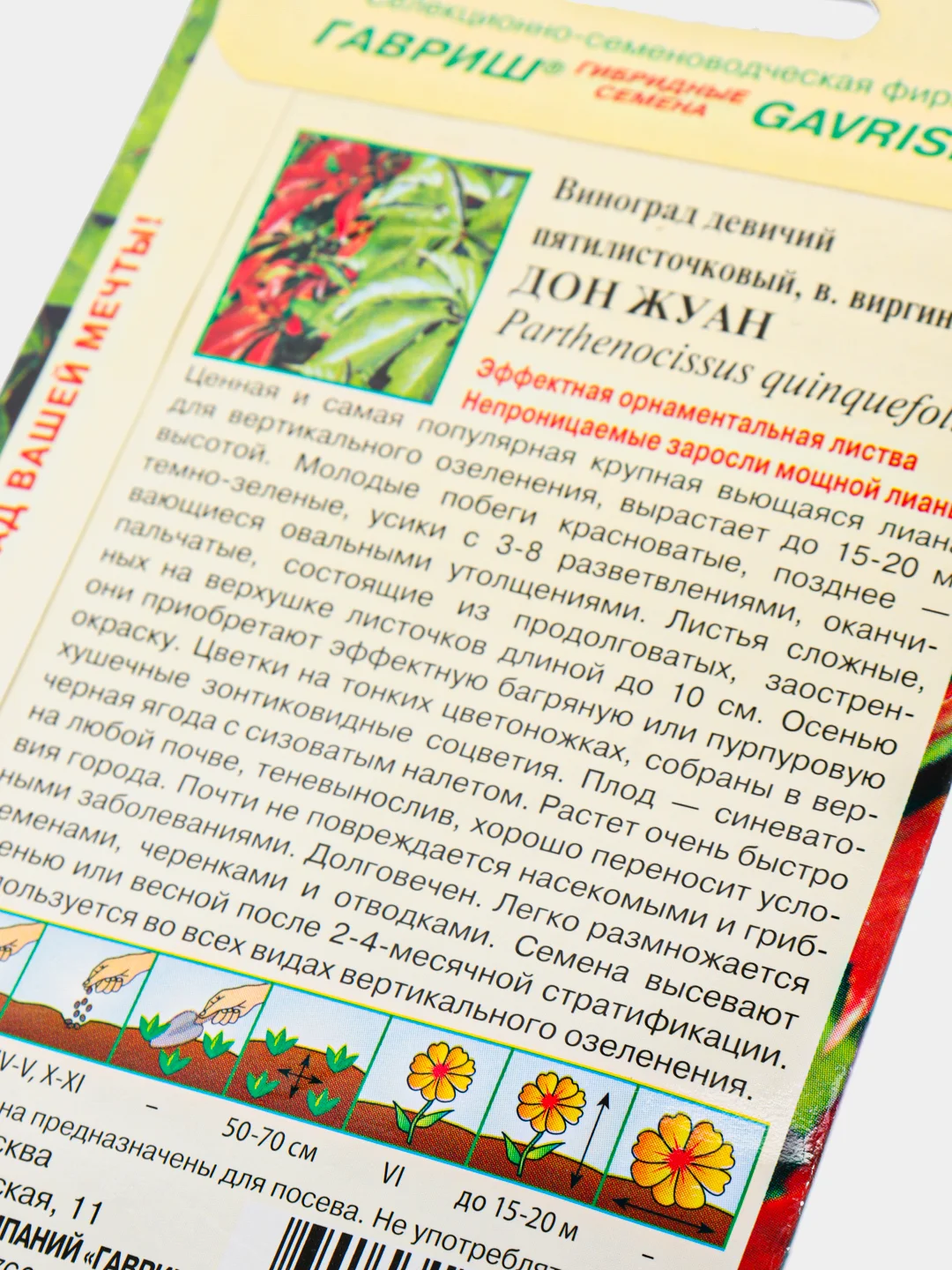 Семена цветы "Виноград Дон жуан"