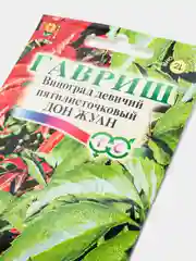 Семена цветы "Виноград Дон жуан"