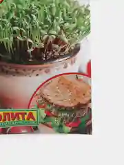 Микрозелень Здоровый дуэт смесь (семена)