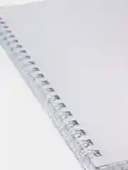 Серебряный общая тетрадь 48 листов в клетку, на гребне, METALLIC
