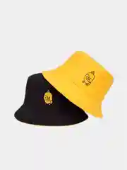 Панама двусторонняя