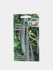 Огурец Настоящий мужик (семена)
