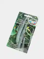 Огурец Настоящий мужик (семена)