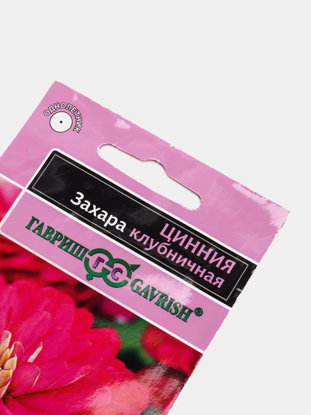 Цинния Захара клубничная (семена,цветы)