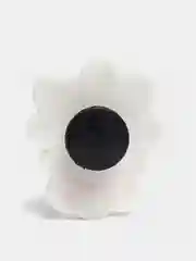 Бирюзовый джибитсы