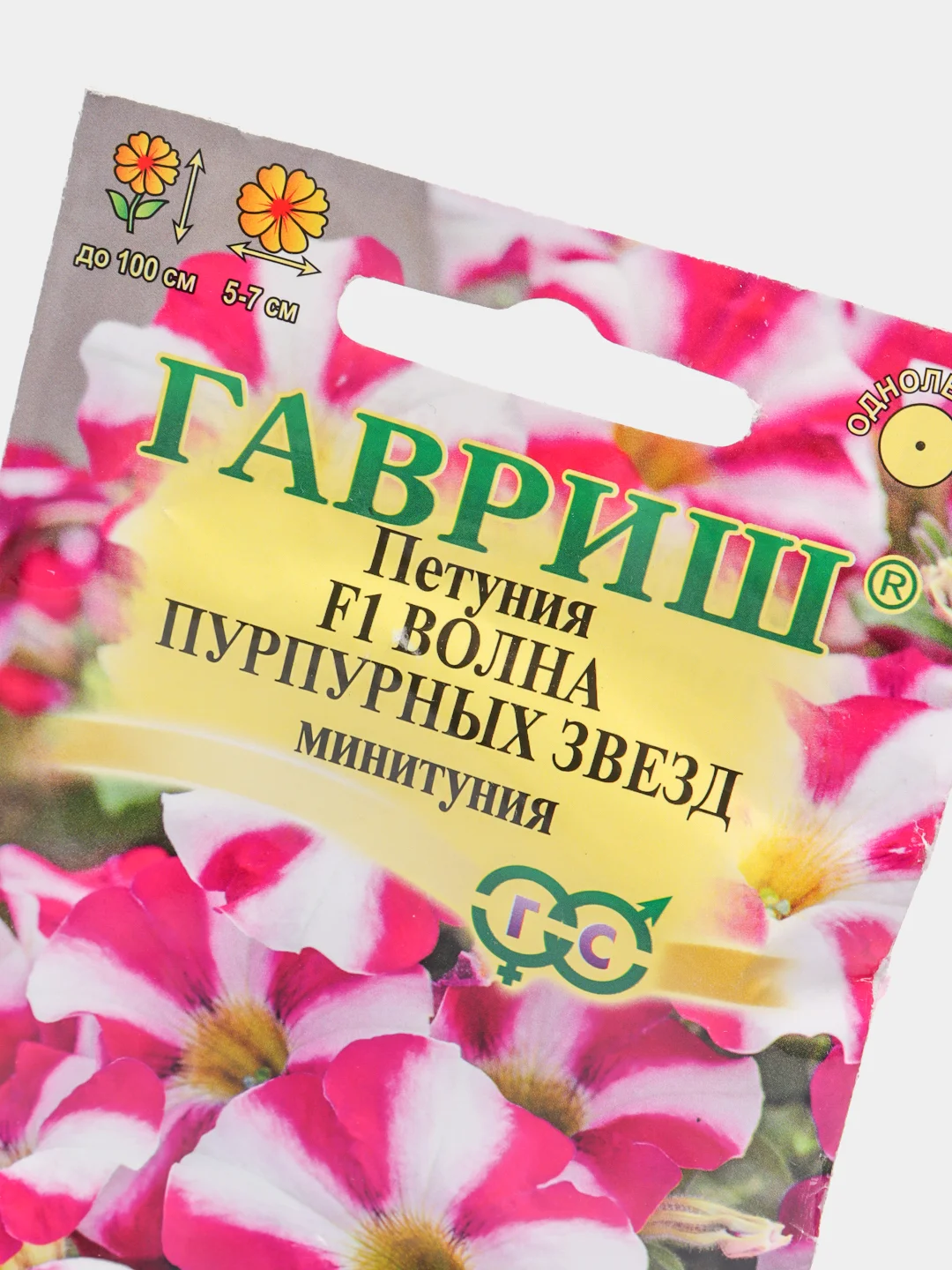 Петуния Волна пурпурных звезд минитуния (семена,цветы)