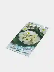 Примула высокая Альба (семена,цветы)