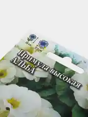 Примула высокая Альба (семена,цветы)
