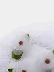 Белый сеточка